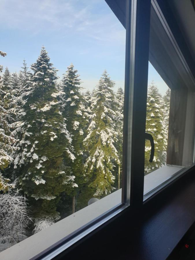 Borovets Forest View Exterior foto
