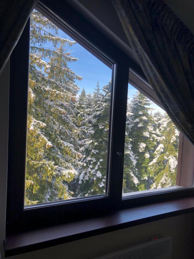 Borovets Forest View Exterior foto