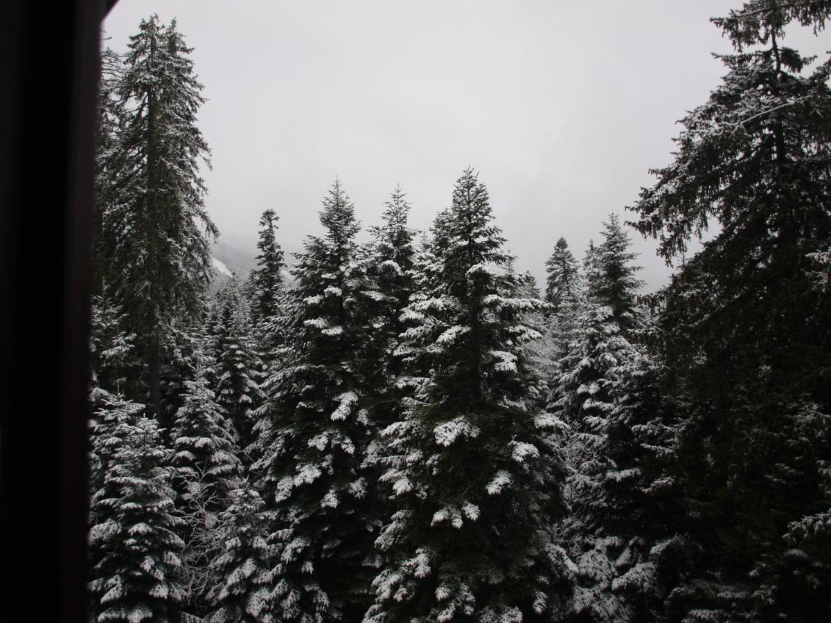 Borovets Forest View Exterior foto